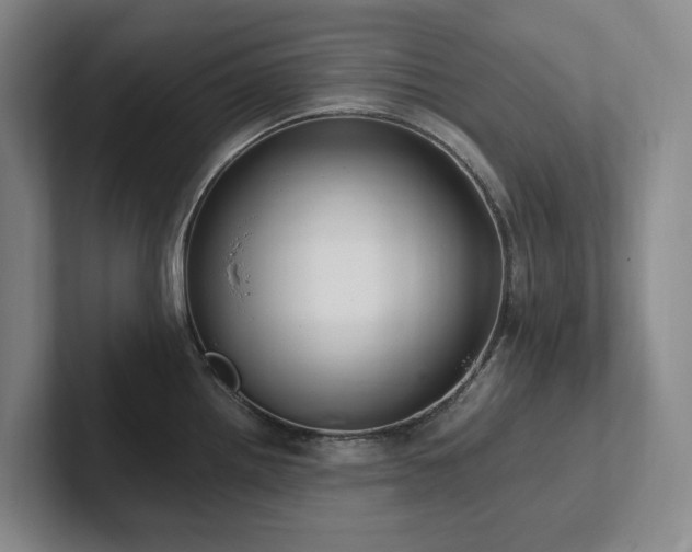 X0000102261242200807251323