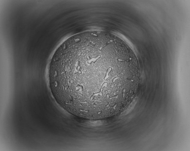 X0000102261243200807251323