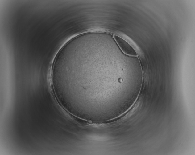 X0000102261244200807251323