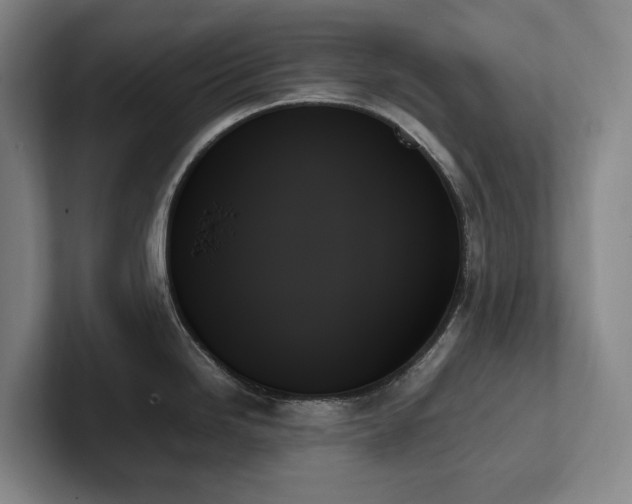 X0000102261246200807251323