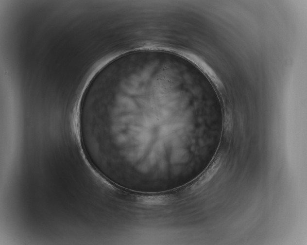 X0000102261247200807251323