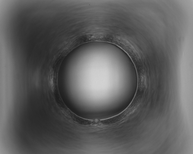 X0000102261250200807251322