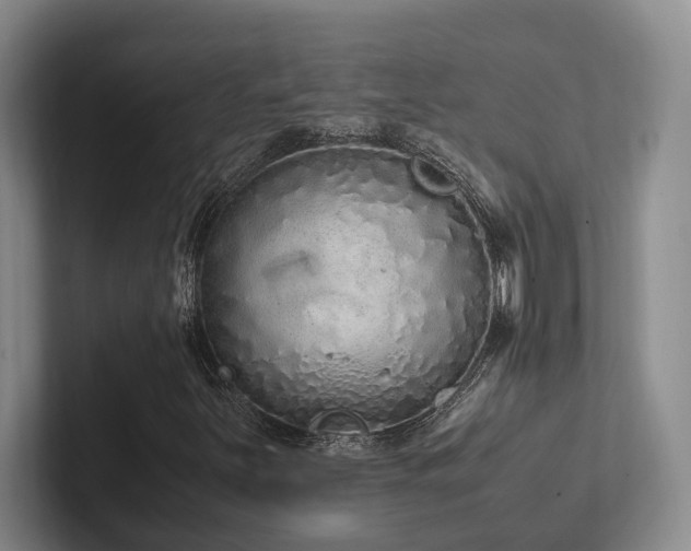 X0000102261251200807251322