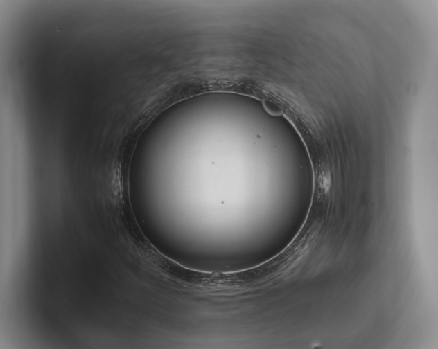 X0000102261252200807251322
