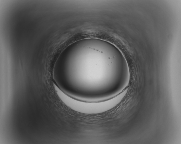 X0000102261253200807251322