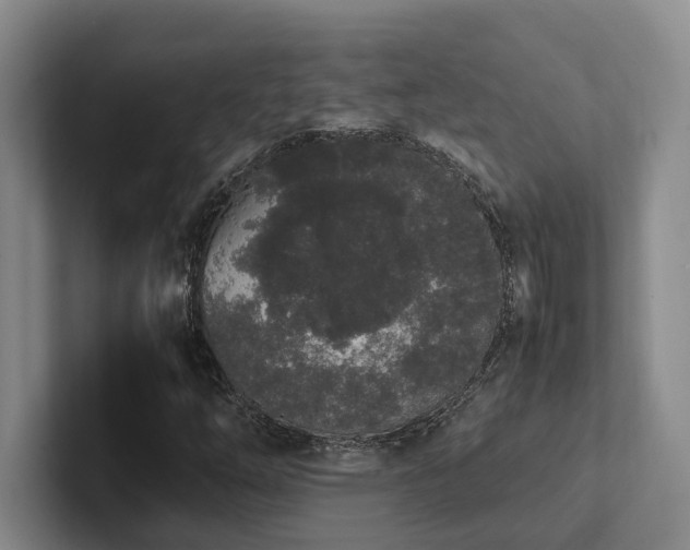 X0000102261254200807251322