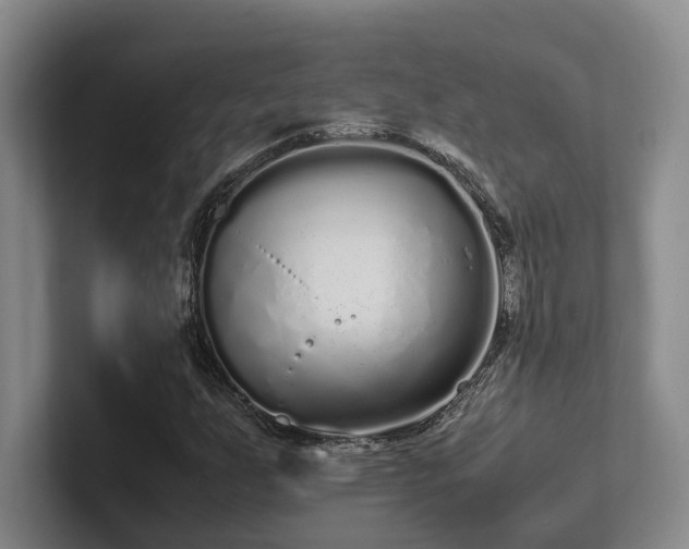 X0000102261255200807251322