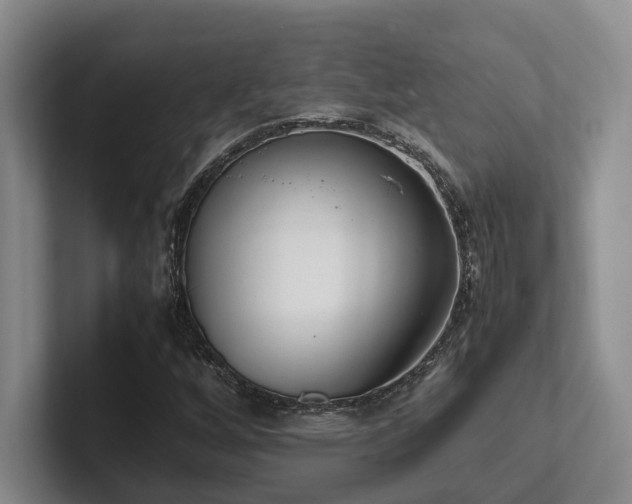 X0000102261256200807251322