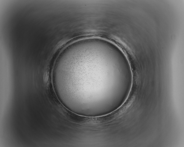 X0000102261259200807251322