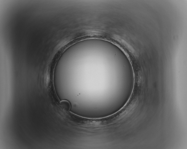 X0000102261261200807251322