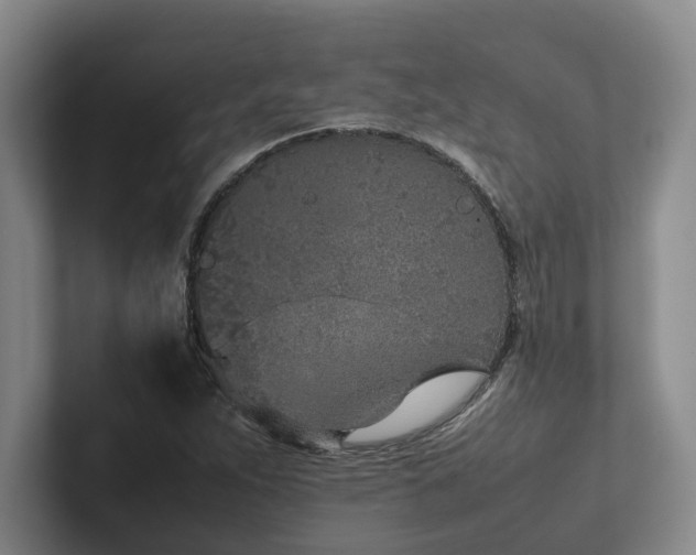 X0000102261263200807251322