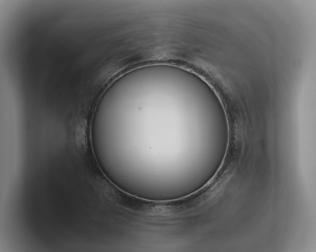 X0000102261265200807251322