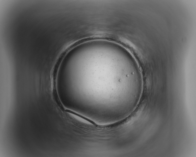 X0000102261267200807251322