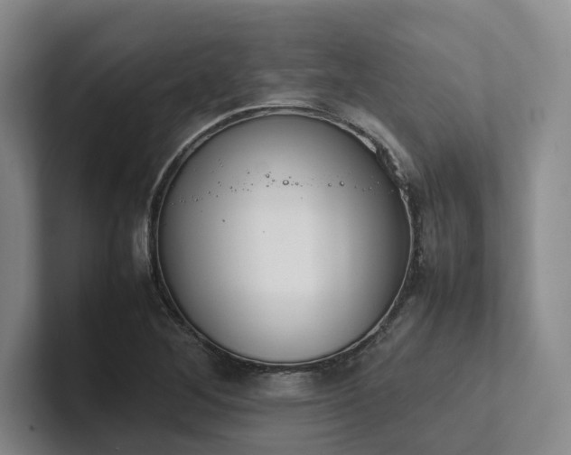 X0000102261268200807251322