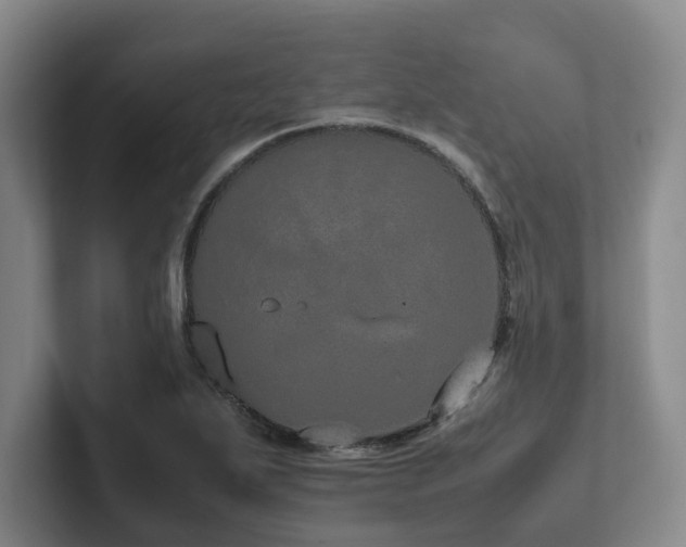 X0000102261271200807251322