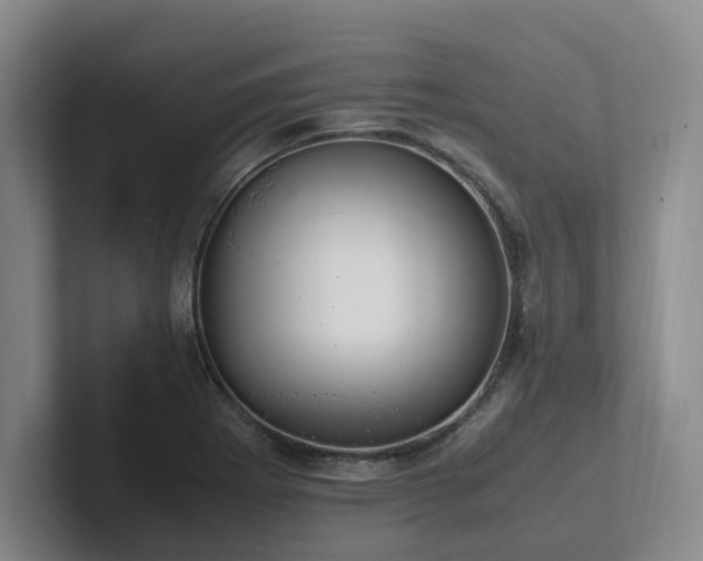 X0000102261273200807251322