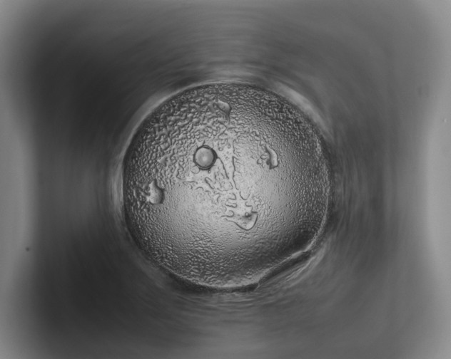 X0000102261275200807251322