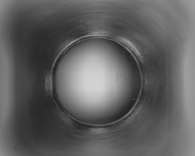 X0000102261276200807251322