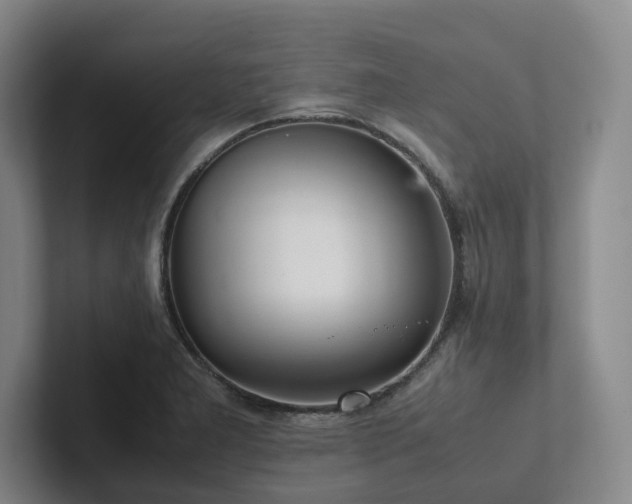 X0000102261277200807251322