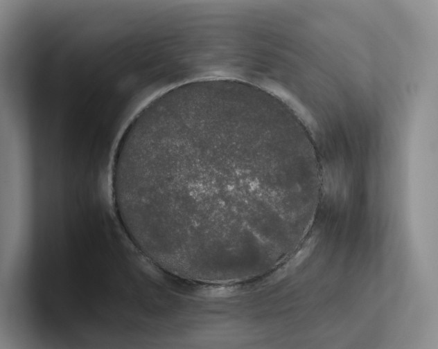 X0000102261278200807251322