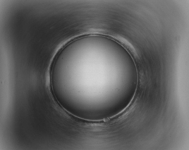 X0000102261280200807251322