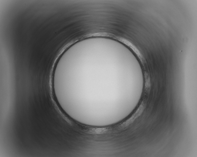 X0000102261282200807251322