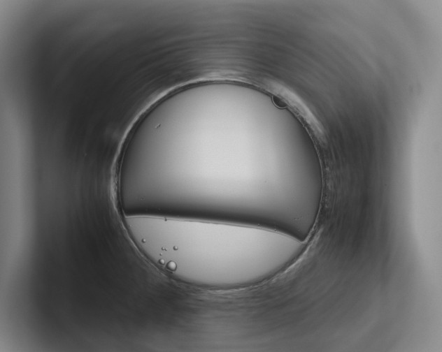 X0000102261284200807251322