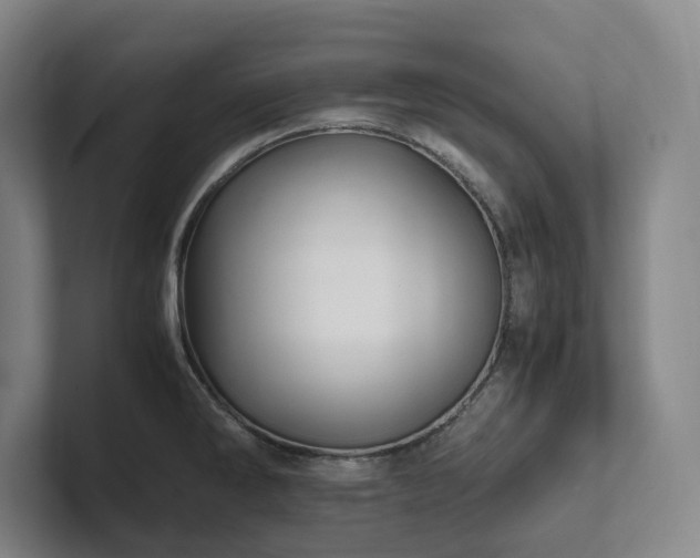 X0000102261286200807251322