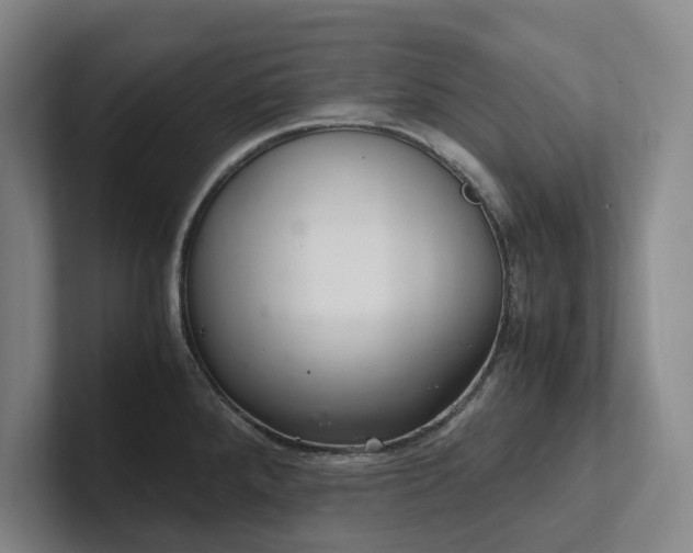 X0000102261288200807251322