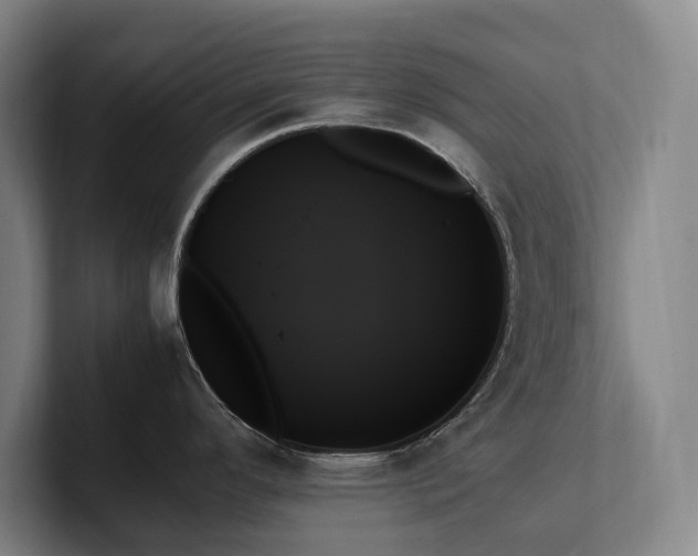 X0000102261296200807251322