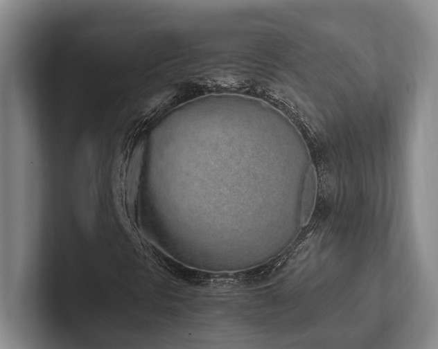 X0000102261297200807251321