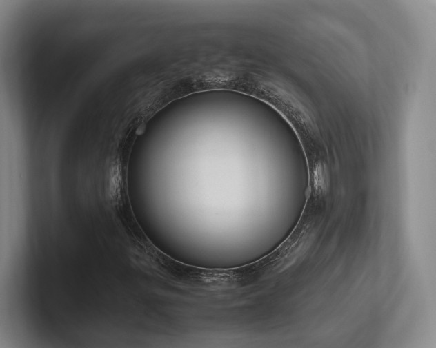 X0000102261299200807251321