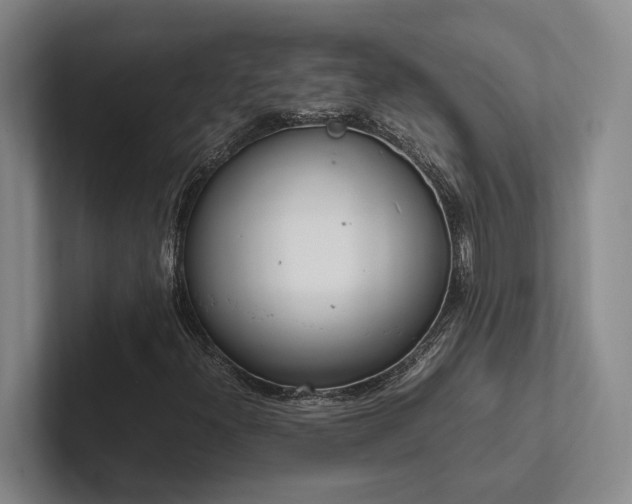 X0000102261300200807251321