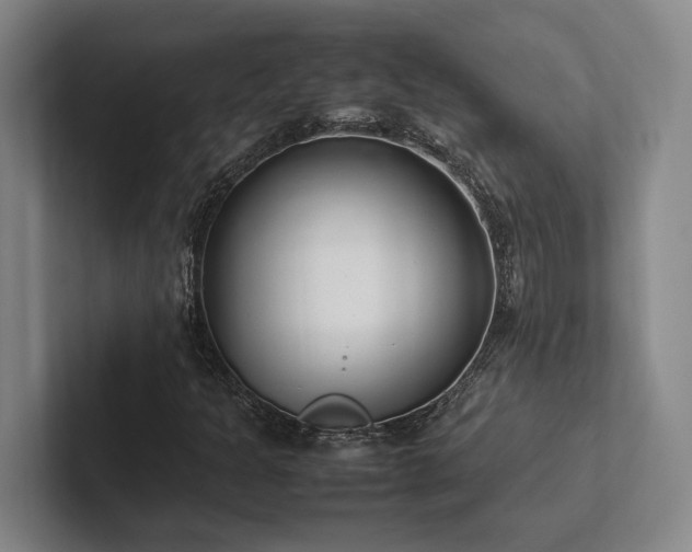 X0000102261301200807251321