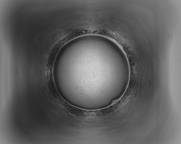 X0000102261302200807251321