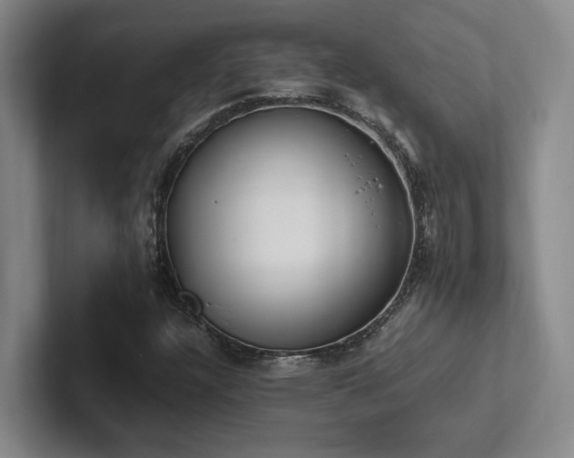 X0000102261304200807251321