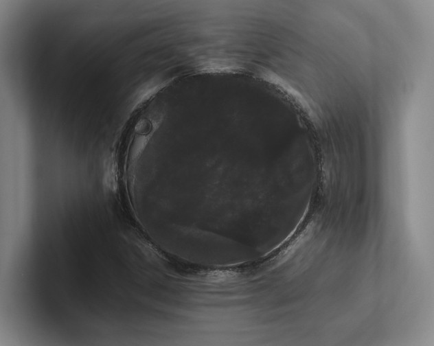 X0000102261306200807251321