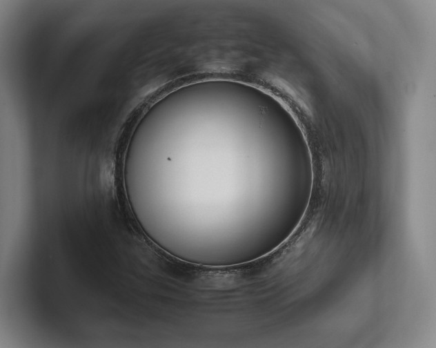 X0000102261307200807251321