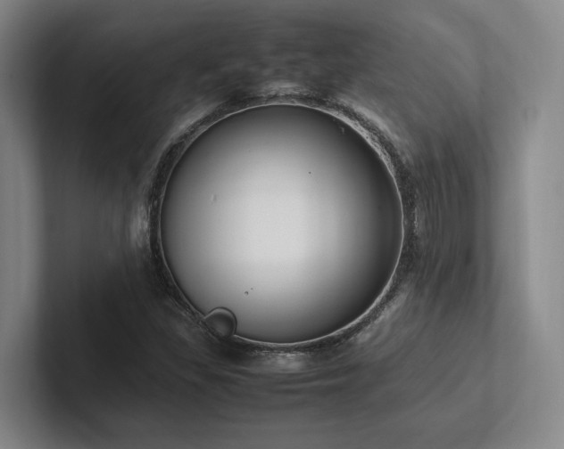 X0000102261309200807251321