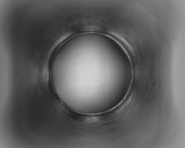 X0000102261317200807251321