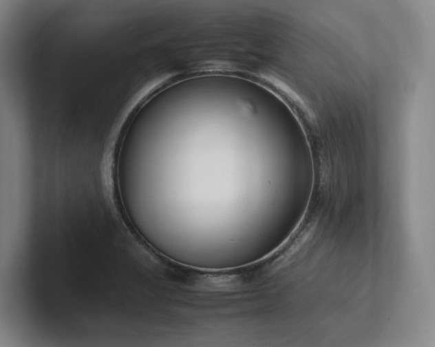 X0000102261325200807251321