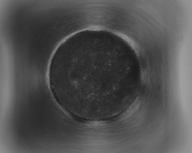X0000102261327200807251321