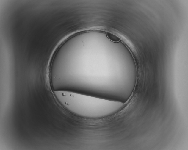 X0000102261332200807251322