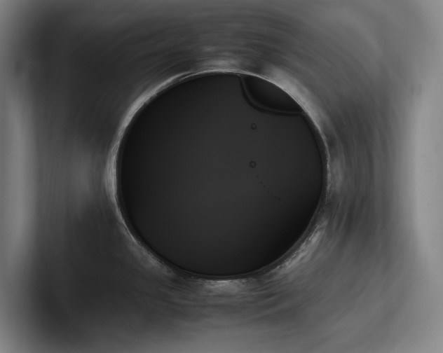 X0000102261341200807251322