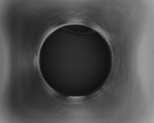 X0000102261344200807251322