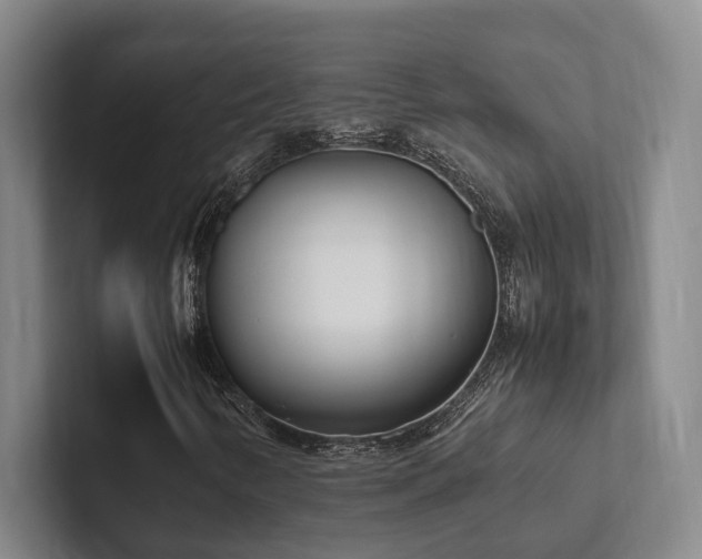 X0000102261346200807251321