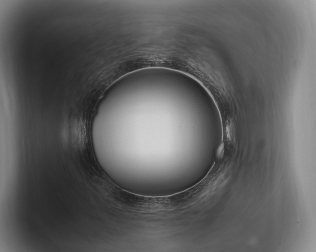 X0000102261347200807251321