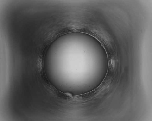 X0000102261348200807251321