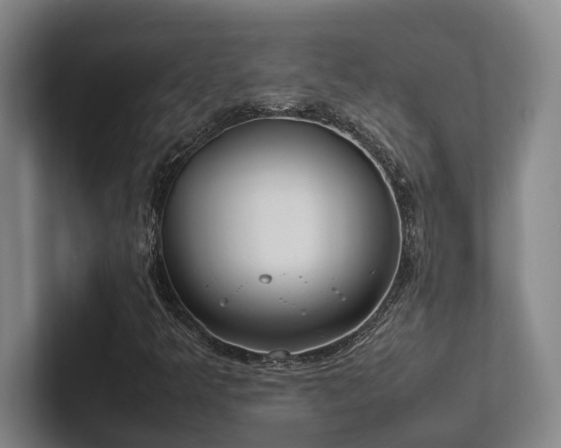 X0000102261349200807251321