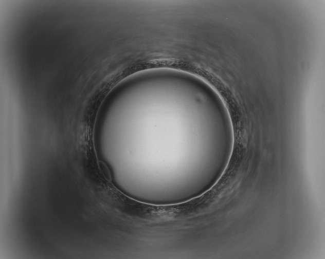 X0000102261351200807251321